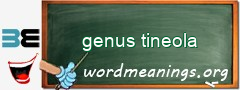 WordMeaning blackboard for genus tineola